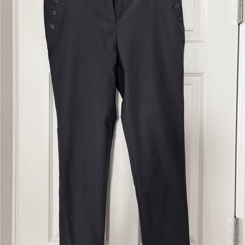 The Limited Dark Blue/Gray Women’s Trousers